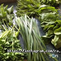 відгуки про ra.ua фото