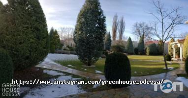 Green House, студия ландшафтного дизайна фото