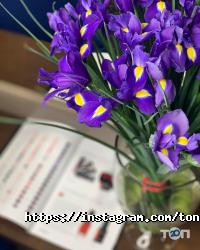 Tone, салон краси фото