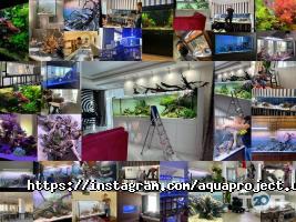відгуки про Aquaproject фото