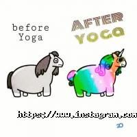 Аштанга, центр йоги фото