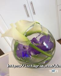 Harchenko design studio відгуки фото