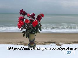 Золотий колос відгуки фото