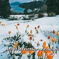 Туристичні агентства, екскурсії Advant travel фото