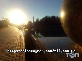 Магазины бытовой техники TLF-телефончик фото