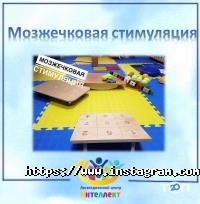 Інтелект Київ фото