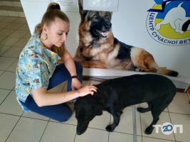 Ветеринарные клиники Ветпро фото