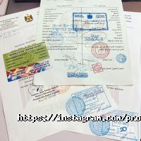 відгуки про Profit фото