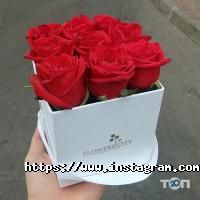 отзывы о Flowers City фото