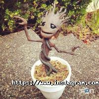 отзывы о Гарпун фото