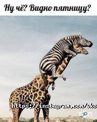 відгуки про Вкомнате фото