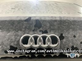 Альбатрос отзывы фото