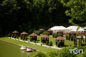 МішиН-СіТі Тернопіль відгуки фото