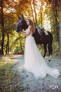 відгуки про Кінні прогулянки фото