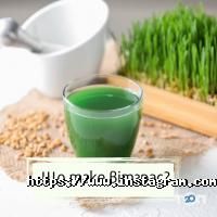 Сік паростків пшениці, бар фото