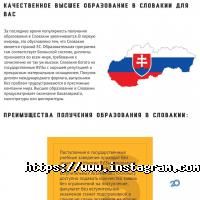 Kubbix отзывы фото