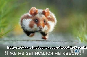Лофт садиста Одеса фото