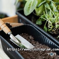 Новая линия отзывы фото