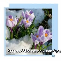 Йога та цілісний Дніпро фото