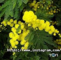 Корчма Тарас Бульба відгуки фото