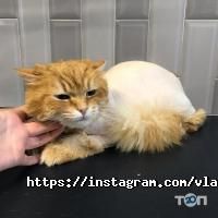 ZooLokus Дніпро фото