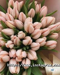 відгуки про Igr фото