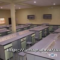 TAU University отзывы фото