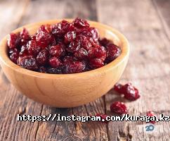 Kuraga.kz, интернет-магазин по продаже сухофруктов фото