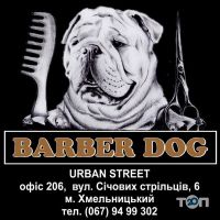 BARBER DOG, груминг салон для животных фото