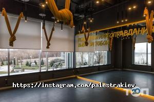 Palestra відгуки фото