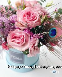 Ptaha Київ фото