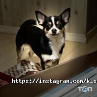 відгуки про K service фото