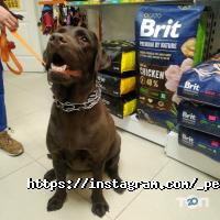 Зоомагазины и услуги для животных Pets-friends фото