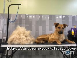 ZooLokus, зоосалон фото