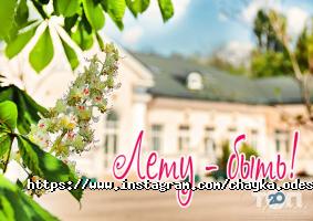 відгуки про Чайка фото