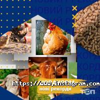 Новаагро, агропромышленная компания фото