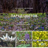 Бази відпочинку Орельський двір фото