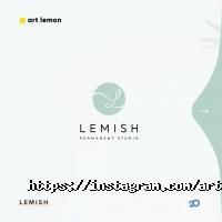 Веб-дизайн и создание сайтов Artlemon фото