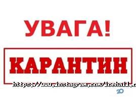 отзывы о Айс хол фото