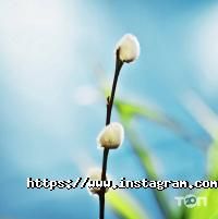 Канцтовары KnopKa фото