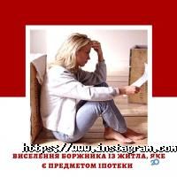 Легал, юридична компанія фото