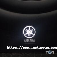 Tato muzic отзывы фото