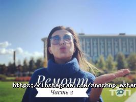 Zooshop отзывы фото