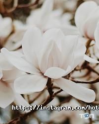 Adria відгуки фото