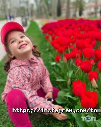 Tourmapa Херсон фото