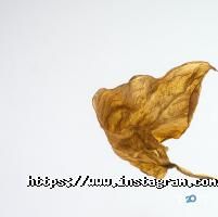 відгуки про Myhelix фото