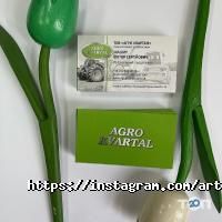 Арт-хаус Дніпро фото