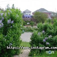 відгуки про Сахалін фото