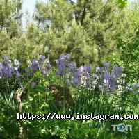 Готелі, хостели Сахалін фото