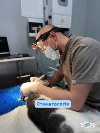 компанія Док Ток фото